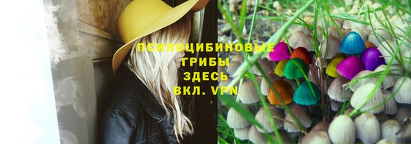 мдпв Вязники