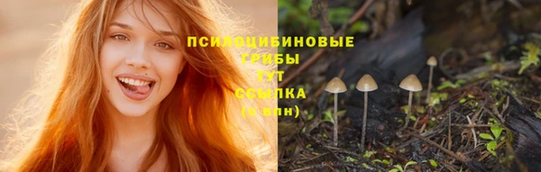 стаф Вяземский