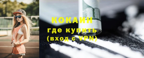стаф Вяземский