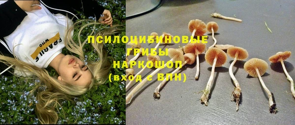 стаф Вяземский