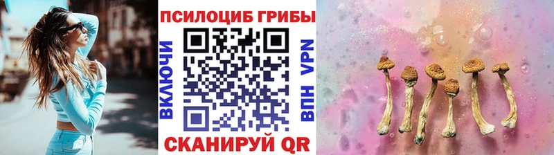 даркнет какой сайт  Гуково  Галлюциногенные грибы GOLDEN TEACHER 