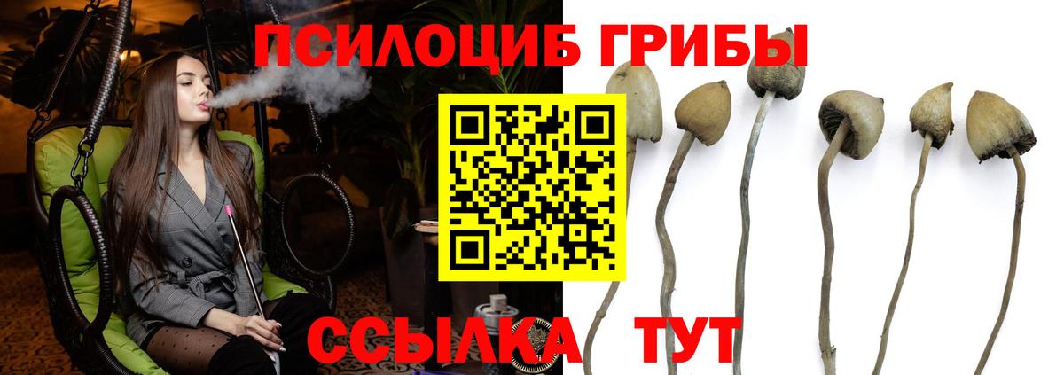 Гуково  Псилоцибиновые грибы прущие грибы  Вход с VPN 